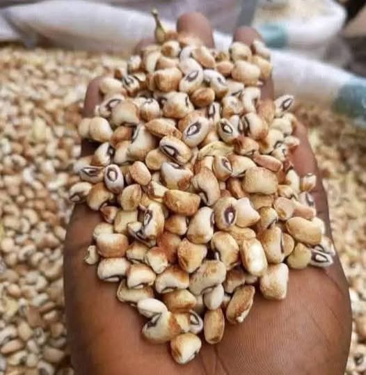 Kampala (Honey) Beans– Grade 1, Hand Picked & Ready to Cook