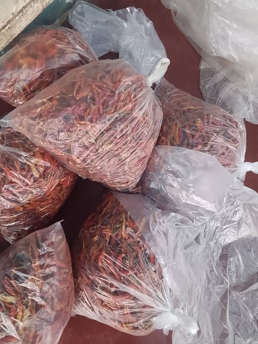 Premium Dry Pepper – Clean, Fresh & Ready to Use