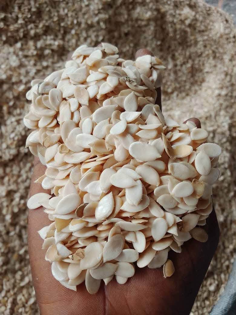 Premium Egusi – Clean, Fresh & Ready to Cook